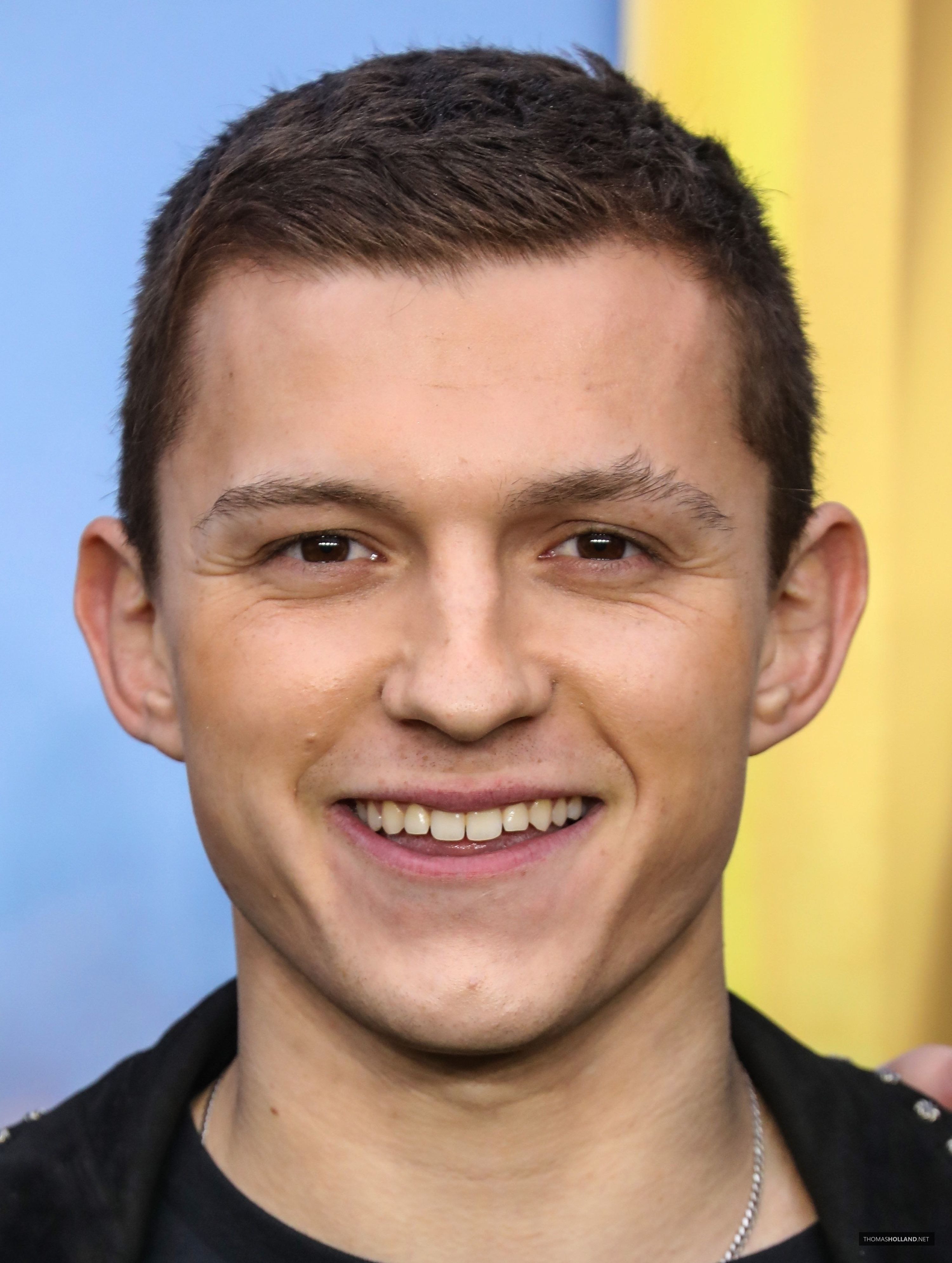 137.jpg