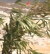 Filename=0476.jpg
Filesize=344KiB
Dimensions=1920x1080
Date added=Jul 31, 2017 0476.jpg