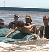 Filename=0526.jpg
Filesize=267KiB
Dimensions=1920x1080
Date added=Jul 31, 2017 0526.jpg