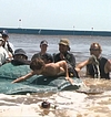 Filename=0531.jpg
Filesize=395KiB
Dimensions=1920x1080
Date added=Jul 31, 2017 0531.jpg