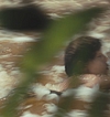0691.jpg