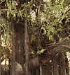 Filename=2504.jpg
Filesize=572KiB
Dimensions=1920x818
Date added=Jul 31, 2017 2504.jpg