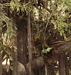 2505.jpg