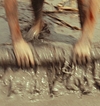 2524.jpg