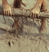 2525.jpg