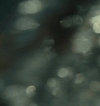 Filename=0692.jpg
Filesize=299KiB
Dimensions=1920x1035
Date added=Aug 29, 2017 0692.jpg