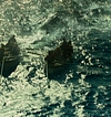 1795.jpg