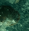 2250.jpg