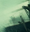 2355.jpg