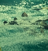 2547.jpg