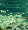 2557.jpg