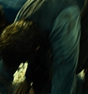 2636.jpg