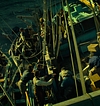 2655.jpg