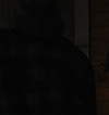 Filename=2094.jpg
Filesize=284KiB
Dimensions=1916x719
Date added=Jan 18, 2018 2094.jpg