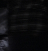 2829.jpg