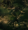 1173.jpg