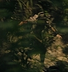 1174.jpg