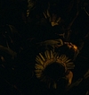 1615.jpg