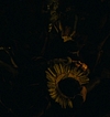 Filename=1617.jpg
Filesize=102KiB
Dimensions=1920x808
Date added=Jul 11, 2017 1617.jpg