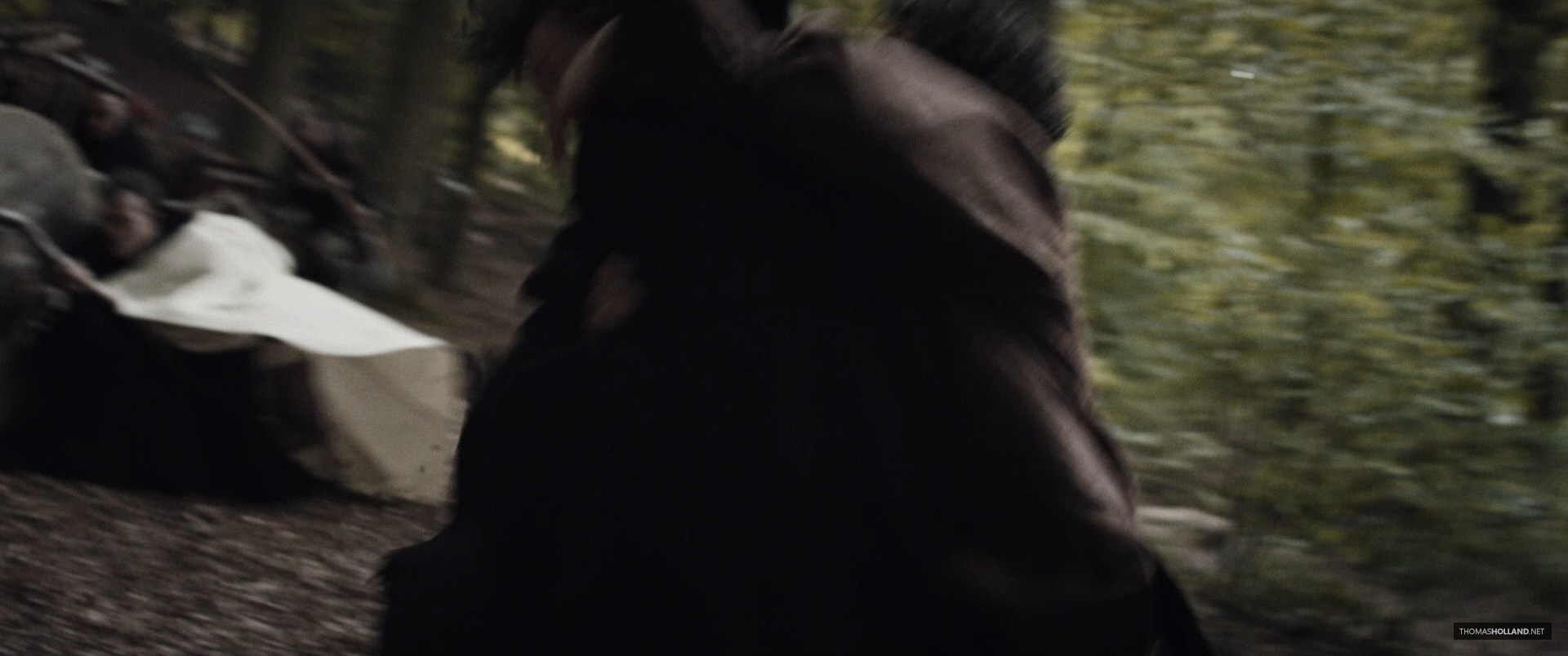 1621.jpg