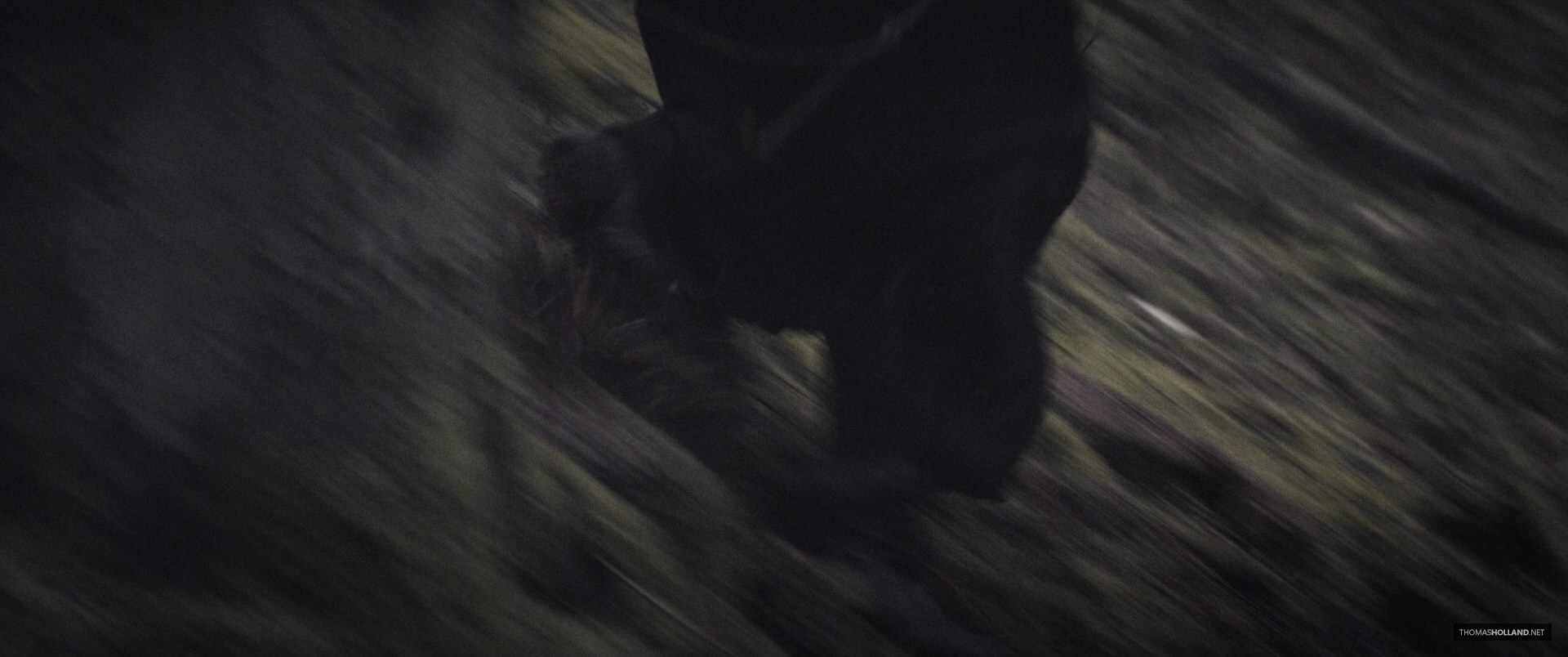 2730.jpg