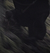 2730.jpg