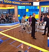 0497.jpg